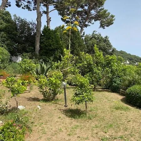 Mezzomonte Appartement